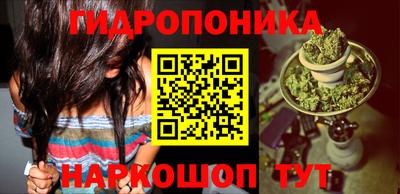 гидропоника Будённовск