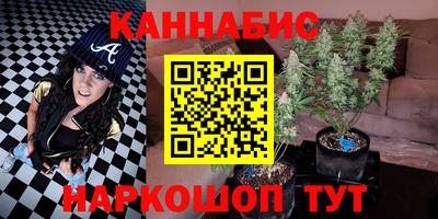 гидропоника Будённовск