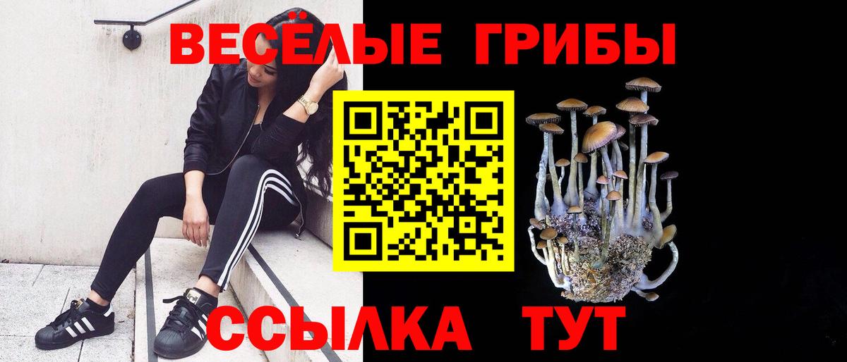 наркошоп  Галлюциногенные грибы ЛСД  Вход с VPN  Краснознаменск 